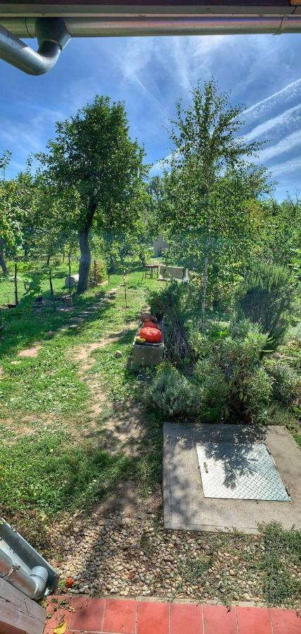 Patak Apartman, Diszel Tapolca Esterno foto