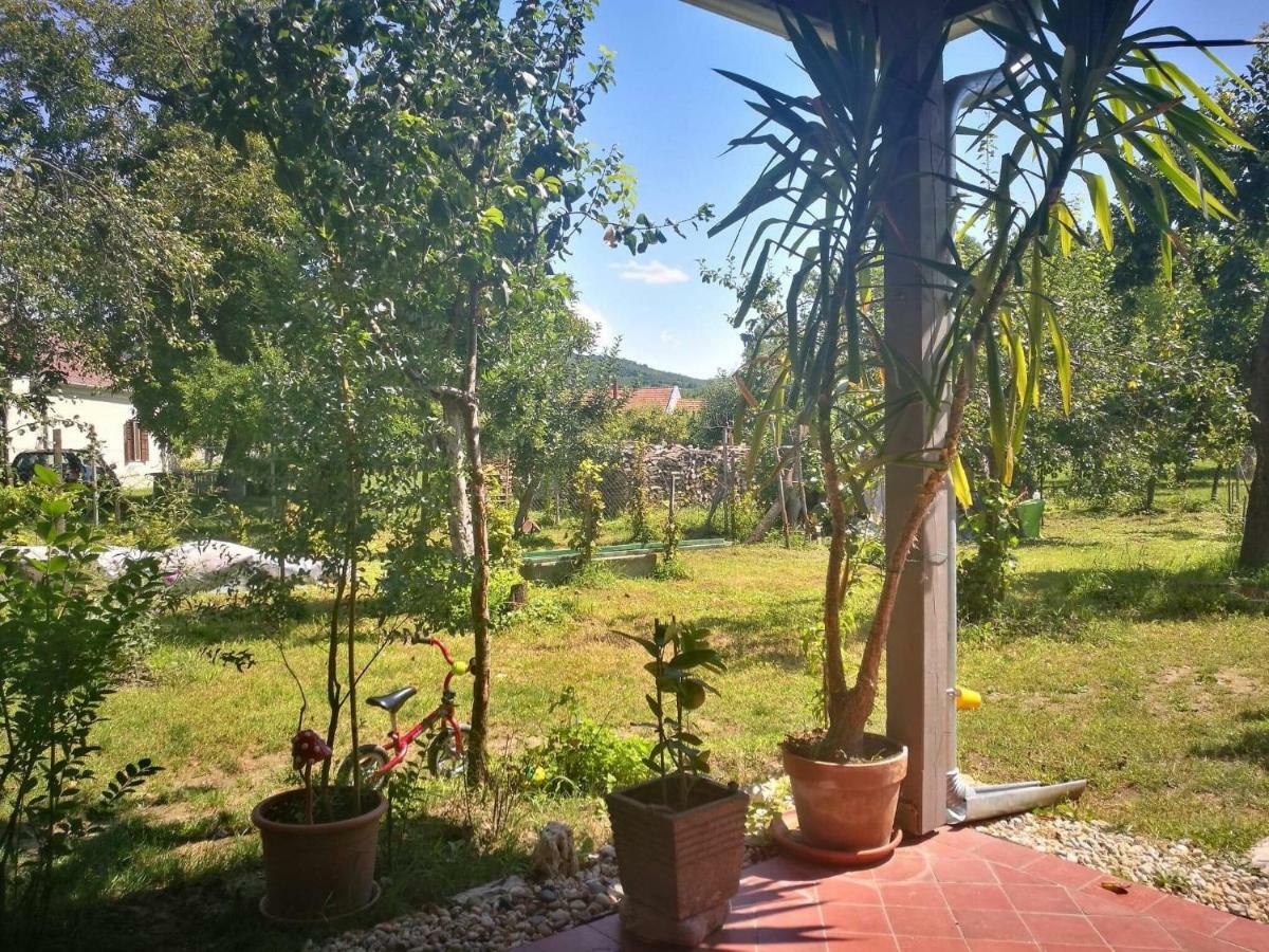Patak Apartman, Diszel Tapolca Esterno foto
